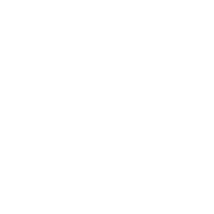 Technology Consulting